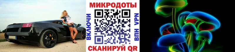 Галлюциногенные грибы Psilocybe  где купить наркоту  Поронайск 